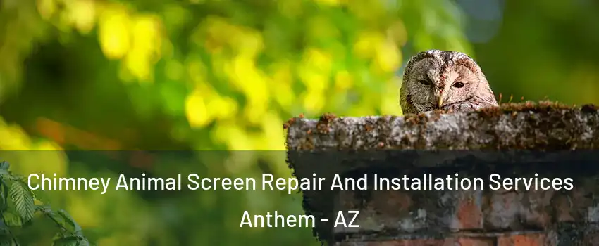  Chimney Animal Screen Repair And Installation Services Anthem - AZ