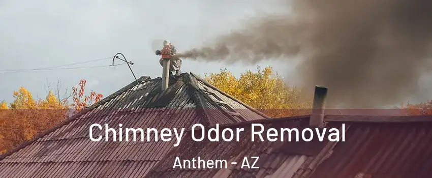  Chimney Odor Removal Anthem - AZ