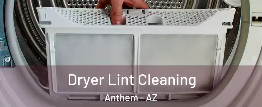  Dryer Lint Cleaning Anthem - AZ
