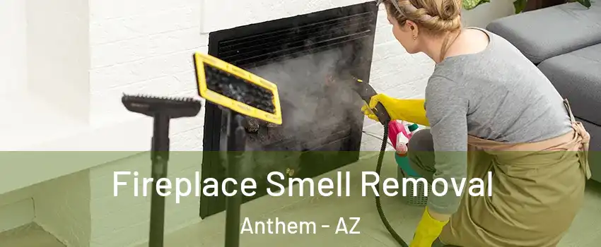  Fireplace Smell Removal Anthem - AZ