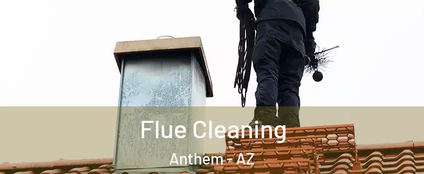  Flue Cleaning Anthem - AZ