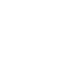 Professional Chimney Flue Installation in Anthem, Arizona