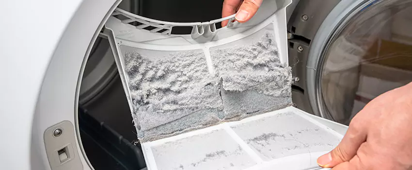 Best Dryer Lint Removal Company in Anthem, Arizona