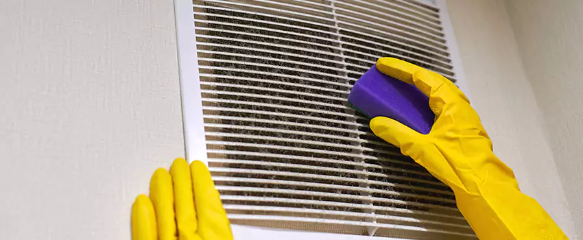 Vent Cleaning Company in Anthem, AZ
