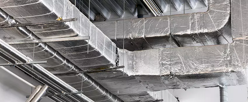 Vent Dust Cleaning Cost in Anthem, AZ