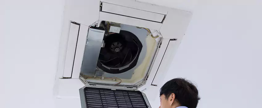 Benefits of Professional Air Duct Cleaning in Anthem, Arizona