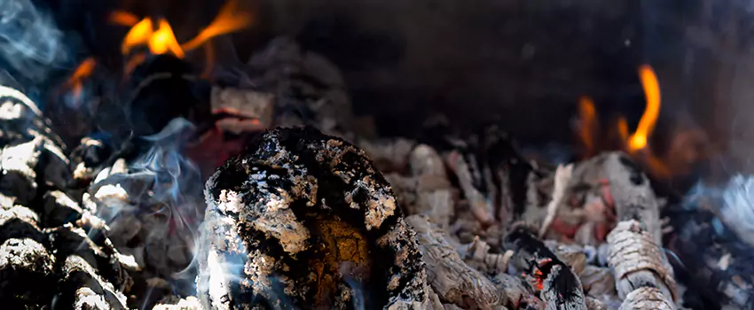 Creosote Removal Experts in Anthem, AZ