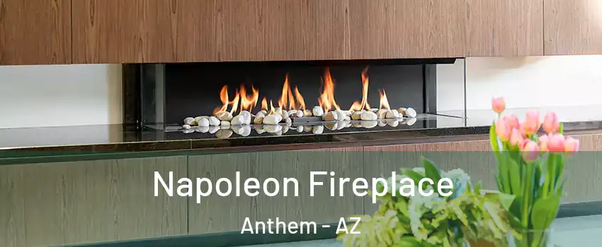 Napoleon Fireplace Anthem - AZ